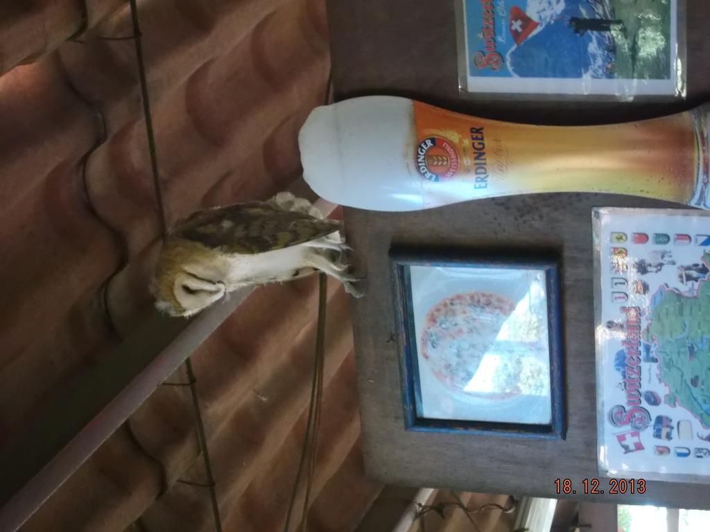 فندق Margaritasفي  Charlys-Bungalows المظهر الخارجي الصورة